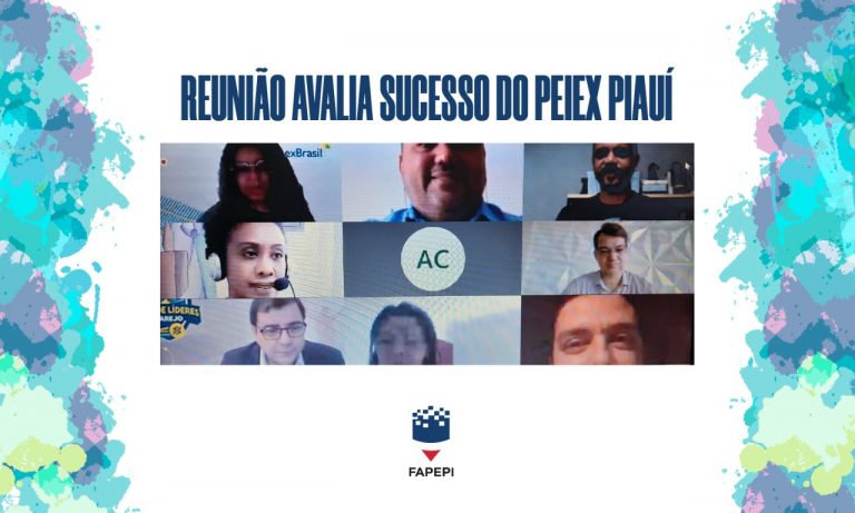Read more about the article Reunião avalia sucesso do PEIEX Piauí