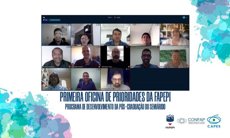 Read more about the article FAPEPI realiza primeira oficina de prioridades para PDPG – Semiárido