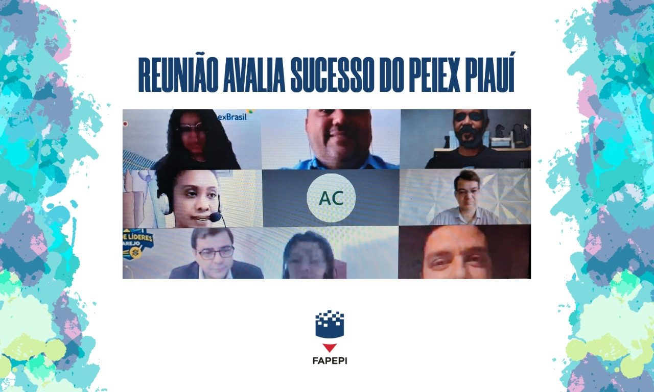 Leia mais sobre o artigo Reunião avalia sucesso do PEIEX Piauí