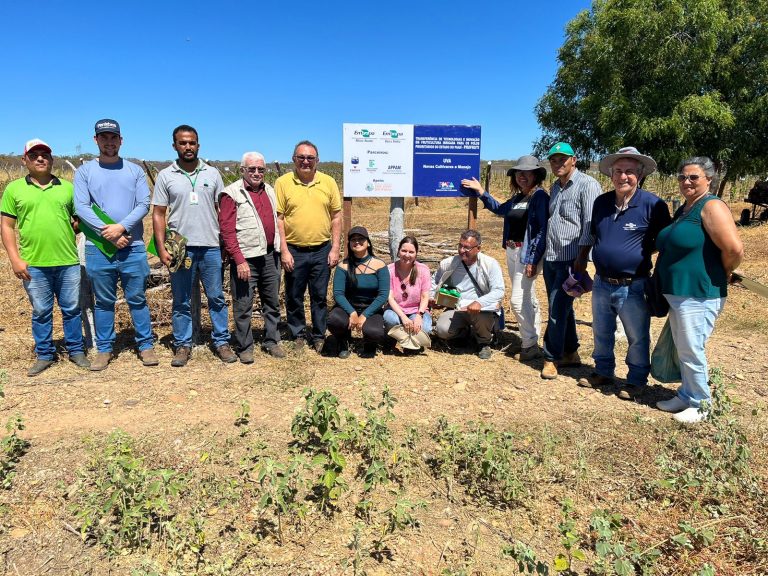 Leia mais sobre o artigo FAPEPI marca presença em workshop do Programa de Melhoramento Genético “Uvas do Brasil”